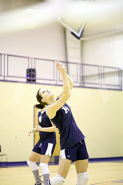 _mg_8450.jpg